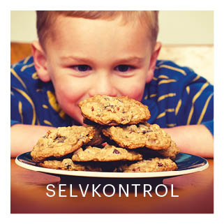 Selvkontrol