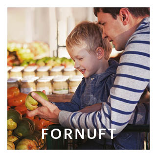 Fornuft